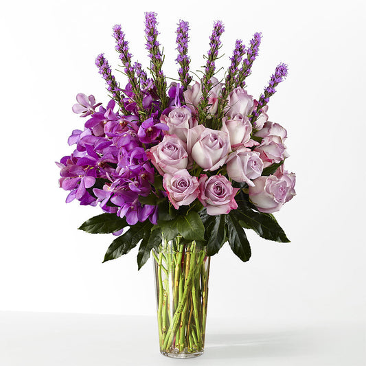 The Maximalist –  Depot Des Fleurs, Montreal PQ
