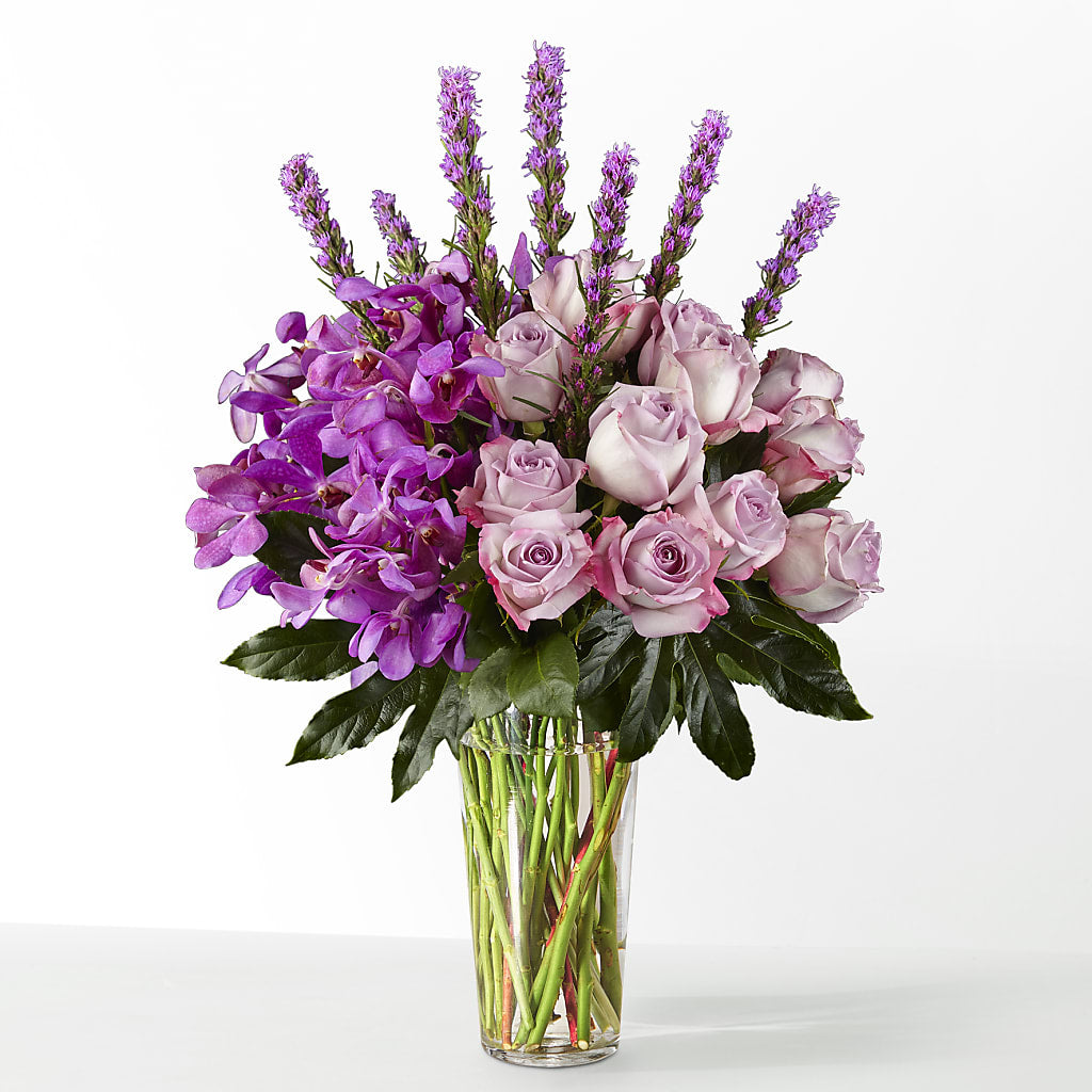 The Maximalist –  Depot Des Fleurs, Montreal PQ