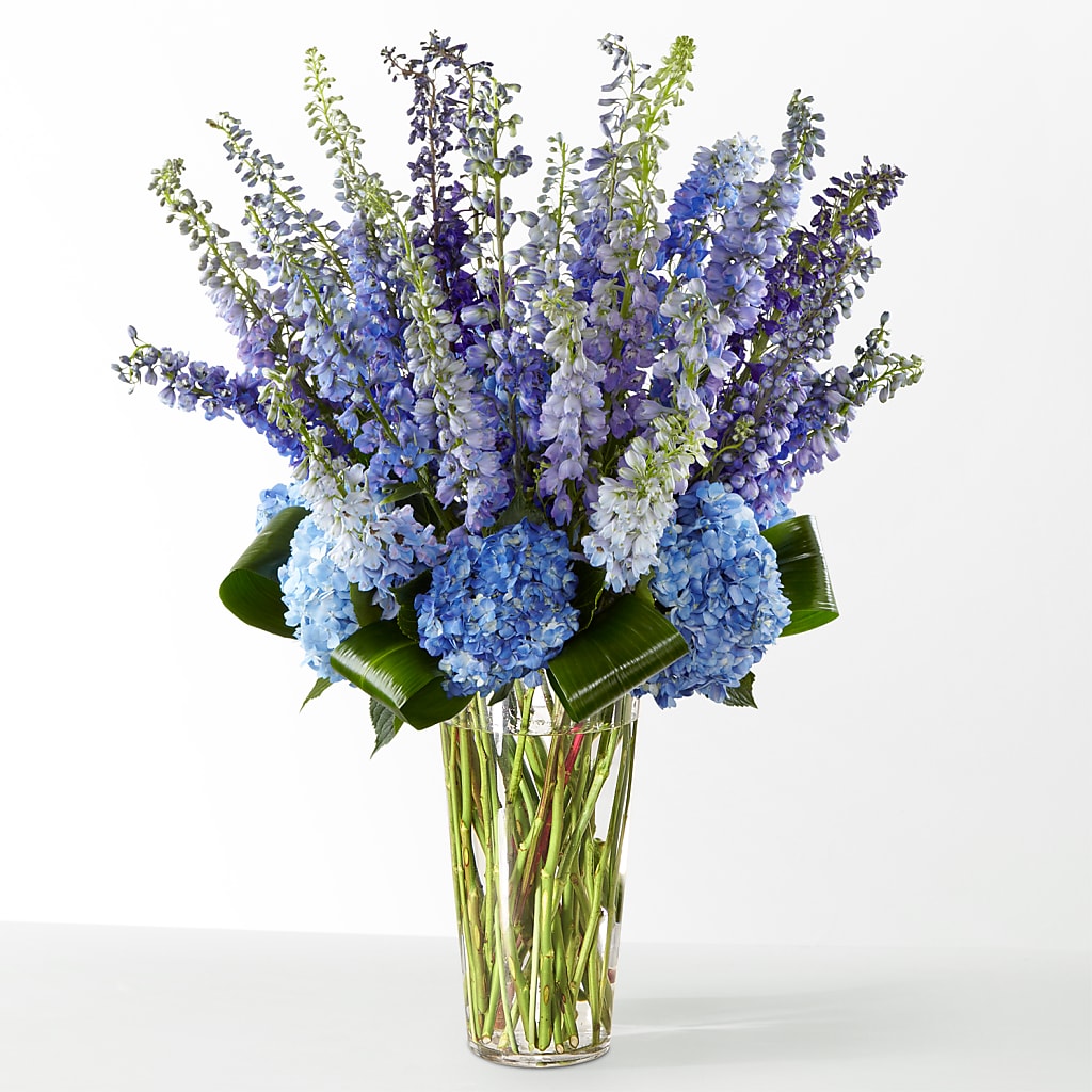 The Editorial –  Depot Des Fleurs, Montreal PQ