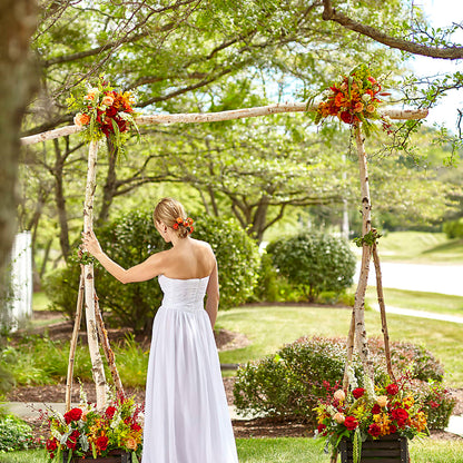 Arbor of Love Archway –  Depot Des Fleurs, Montreal PQ