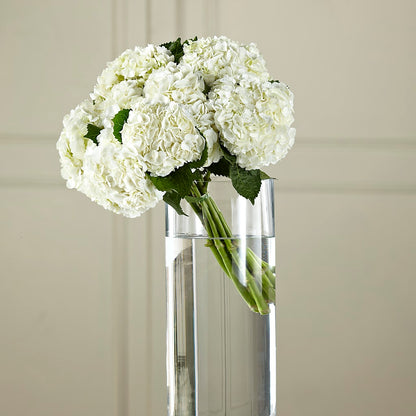 White Hydrangea Hand-Tied Bouquet –  Depot Des Fleurs, Montreal PQ