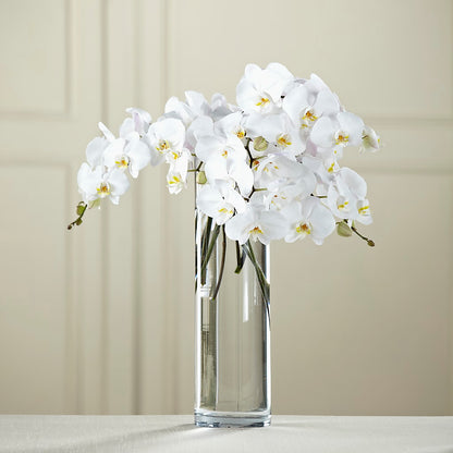 White Phalaenopsis Bouquet –  Depot Des Fleurs, Montreal PQ