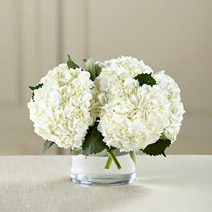 White Hydrangea Bouquet –  Depot Des Fleurs, Montreal PQ